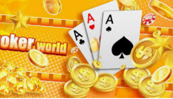 bwin必赢2024最新版